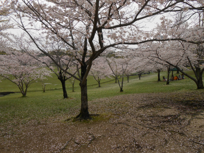 DSCN1401.jpg
