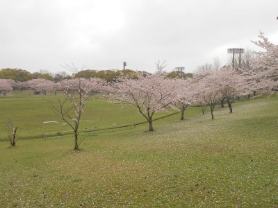 DSCN1402.jpg