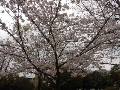 DSCN1403.jpg